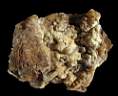 calsedony botrodiyal0001.jpg